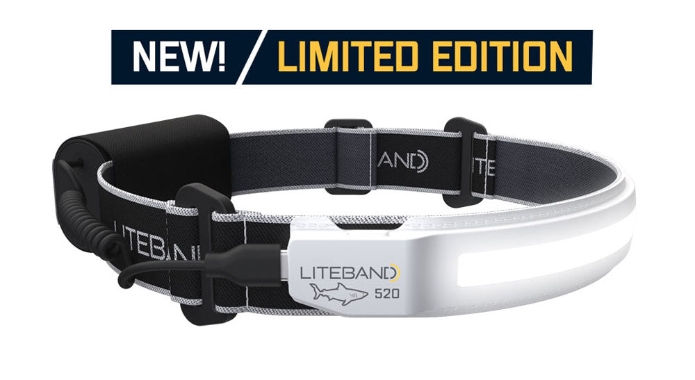 ACTIV 520 LED Headlamp